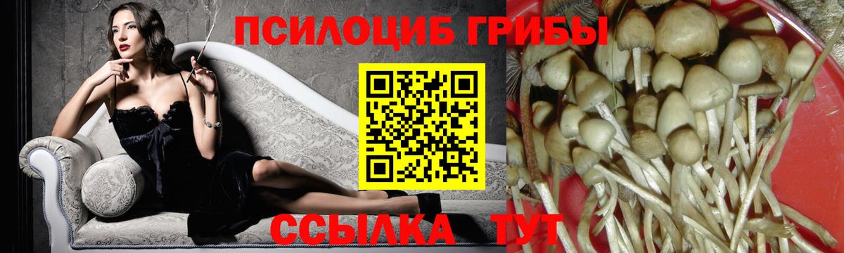 Калининград  Псилоцибиновые грибы Magic Shrooms  Вход с VPN 