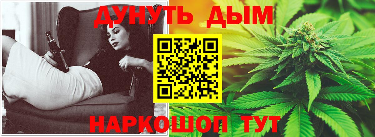 Конопля планчик  Вход с VPN  Калининград  Конопля сатива 